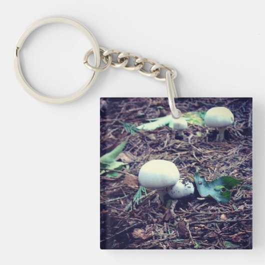 Porte-clés Champignons blancs mignons (Devant)