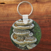Porte-clés Champignons de plateau sur souche (Recto)