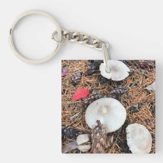 Porte-clés Champignons et cônes de pin (Devant)