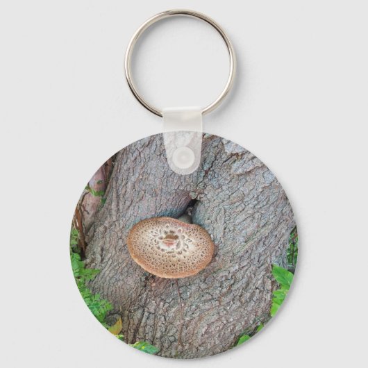 Porte-clés Champignons sur un champignon d'arbre (Recto)