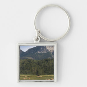 Porte-clés Champs avec du foin mis en balles, Alberta, Canada
