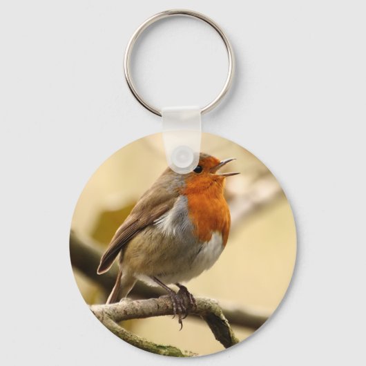 Porte-clés Chanter Robin (Recto)