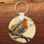 Porte-clés Chanter Robin (Recto)