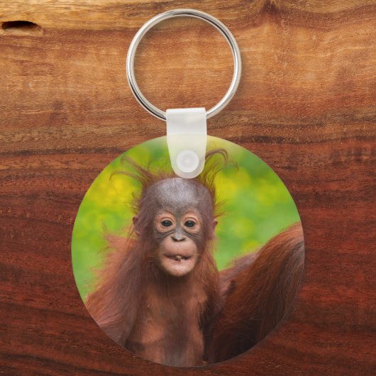 Porte-clés Charme bizarre d'un bébé orangoutan (Verso)