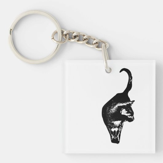 Porte-clés Charme de chat direct (Devant)