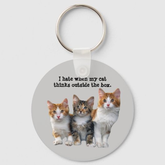 Porte-clés Chat À L'Extérieur Du Porte - clé Box (Recto)