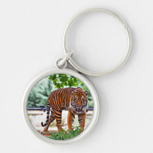 Porte-clés chat à motif tigre personnalisé Anniversaires