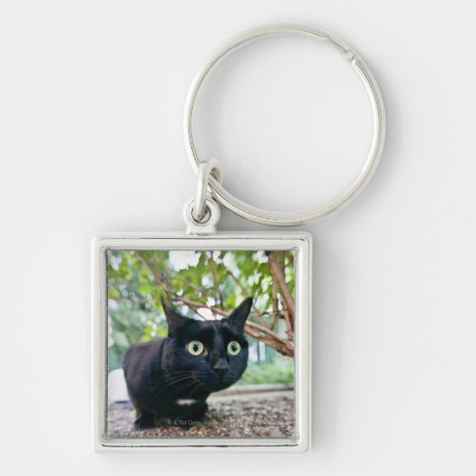 Porte-clés chat alerté se cachant sous le buisson (Devant)