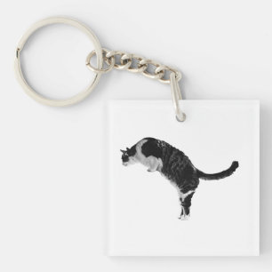 Porte-clés chat amical