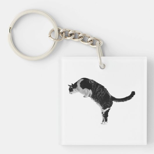 Porte-clés chat amical (Devant)