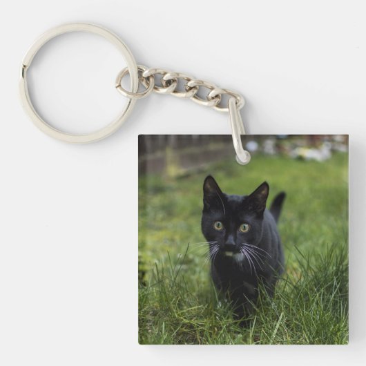 Porte-clés Chat, Animal De Compagnie, Feline (Devant)