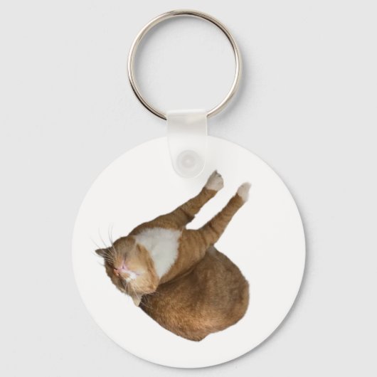 Porte-clés Chat au soleil à l'envers (Recto)