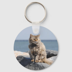 Porte-clés Chat balayé par le vent au bord de la mer Photo mi