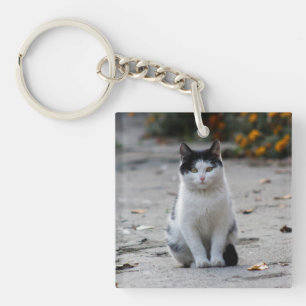 Porte-clés Chat, Blanc, Animaux