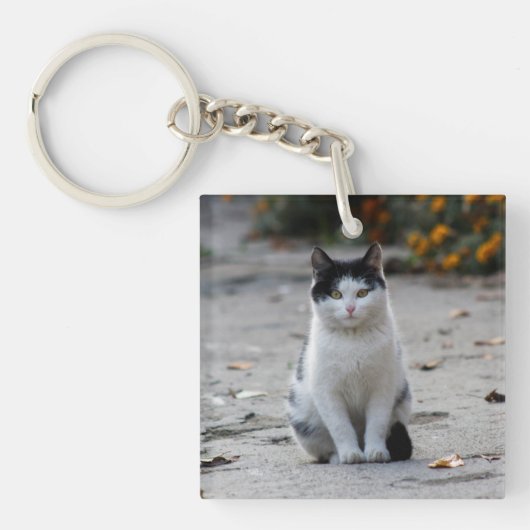 Porte-clés Chat, Blanc, Animaux (Devant)