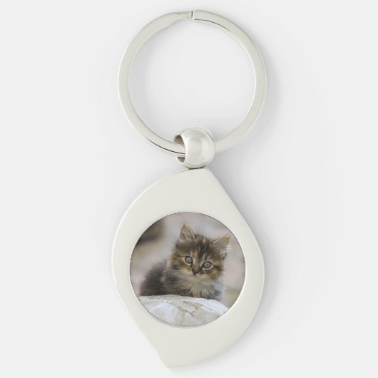 Porte-clés Chat, chat domestique, animal (Devant)