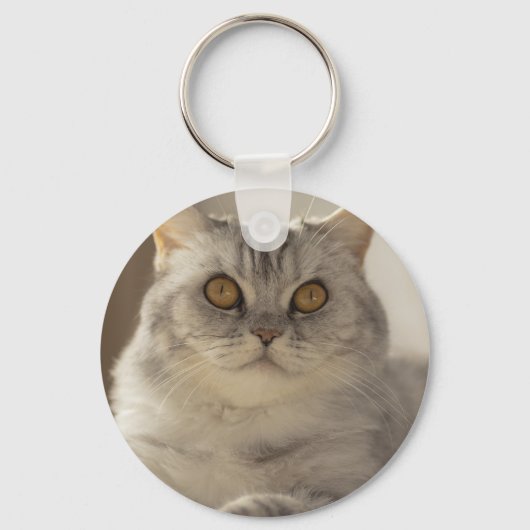 Porte-clés Chat, cheveux courts britanniques, Feline (Recto)