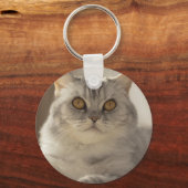 Porte-clés Chat, cheveux courts britanniques, Feline (Recto)