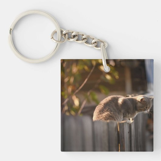 Porte-clés Chat, Clôture, Bois (Devant)