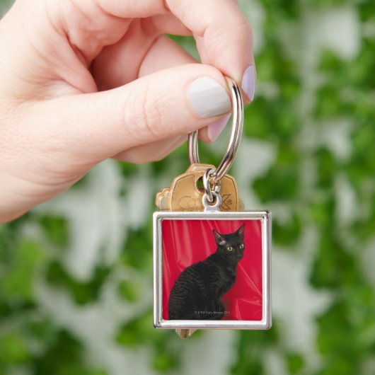 Porte-clés Chat cornouaillais de rex (main)