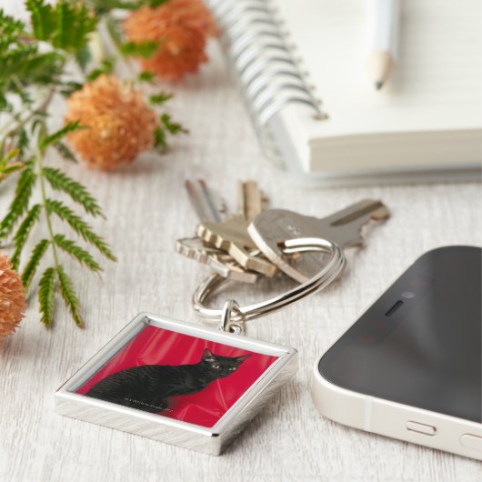 Porte-clés Chat cornouaillais de rex (Côté)
