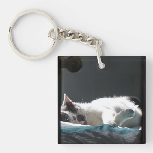 Porte-clés Chat dans Sunspot Ne pas déranger (Devant)