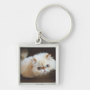 Porte-clés Chat dans une boîte