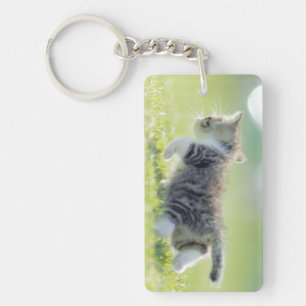 Porte-clés Chat de bébé fonctionnant sur le champ d'herbe