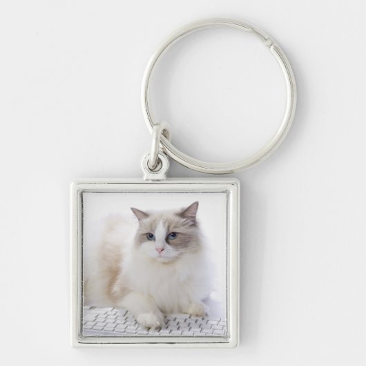 Porte-clés Chat de Ragdoll sur le clavier (Devant)