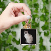 Porte-clés Chat de Siamese (main)
