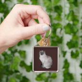 Porte-clés Chat de Siamese avec les yeux bleus (main)