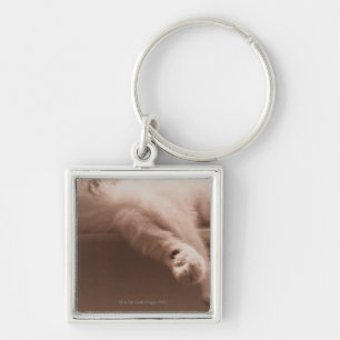 Porte-clés Chat de sommeil