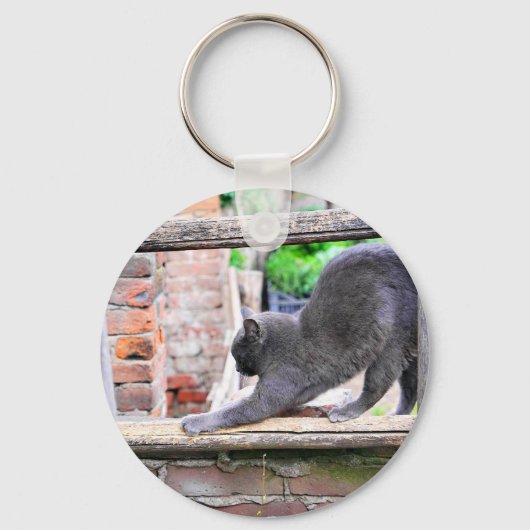 Porte-clés Chat drôle qui s'étire (Recto)