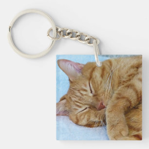 Porte-clés Chat endormi