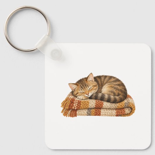 Porte-clés Chat endormi sur une couverture tricotée (Recto)