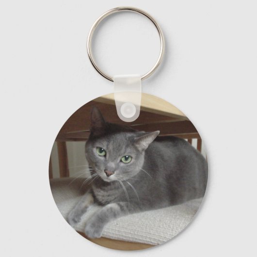 Porte-clés Chat gris bleu russe (Recto)