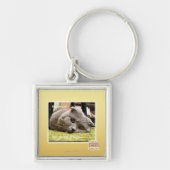 Porte-clés Chat heureux, hors d'heureux (Devant)