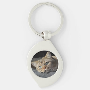 Porte-clés Chat, Kitten, short britannique