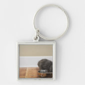 Porte-clés Chat mangeant de la cuvette (Devant)