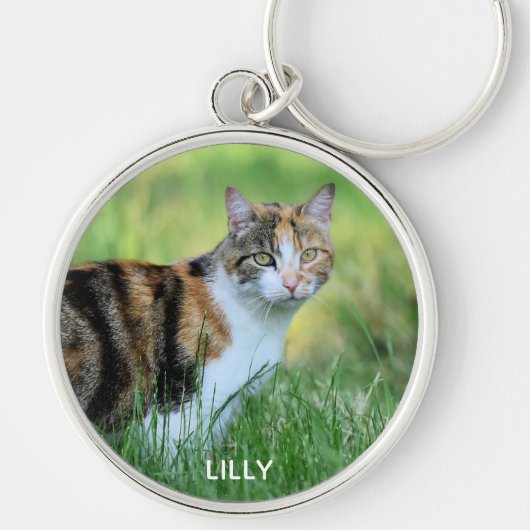 Porte-clés Chat marron et blanc (Devant)