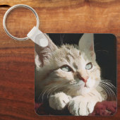Porte-clés chat, nature, animal (Recto)