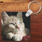 Porte-clés chat, nature, animal (Verso)