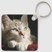 Porte-clés chat, nature, animal (Dos)