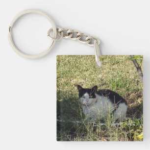 Porte-clés Chat noir et blanc dans le jardin,