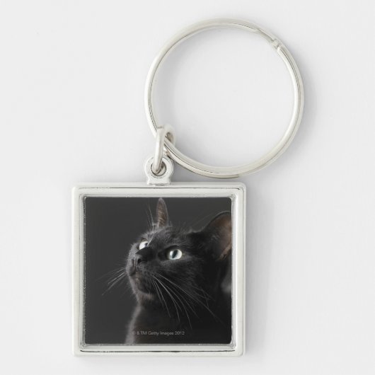 Porte-clés Chat noir sur le fond noir, plan rapproché (Devant)