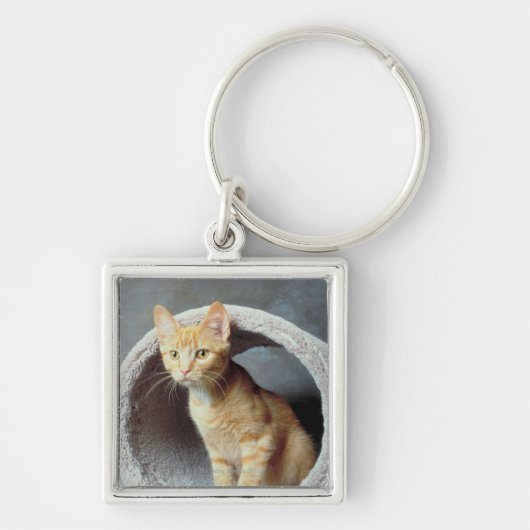 Porte-clés Chat orange dans le jouet (Devant)