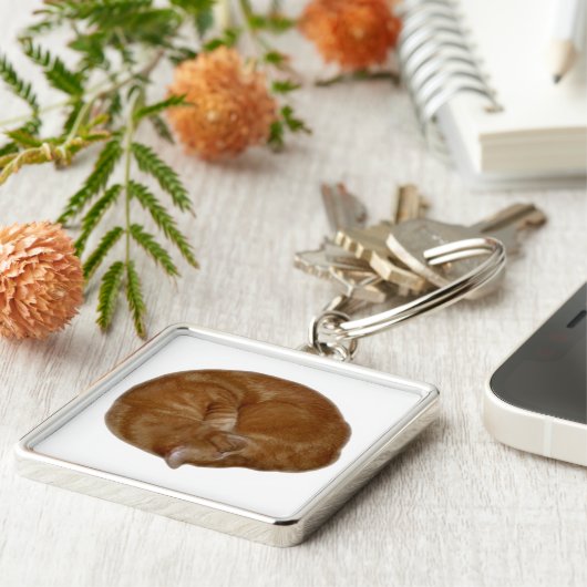 Porte-clés Chat orange de sommeil (Côté)