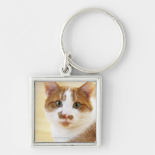 Porte-clés chat orange et blanc regardant l'appareil-photo