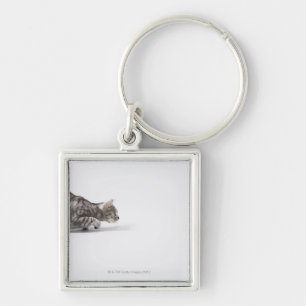 Porte-clés Chat prêt à sauter