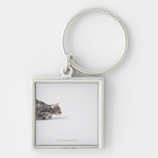Porte-clés Chat prêt à sauter (Devant)